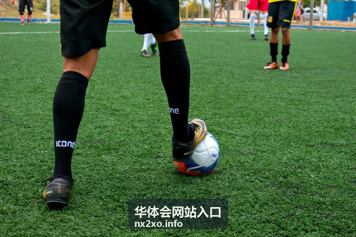 华体会网站入口 入口指引